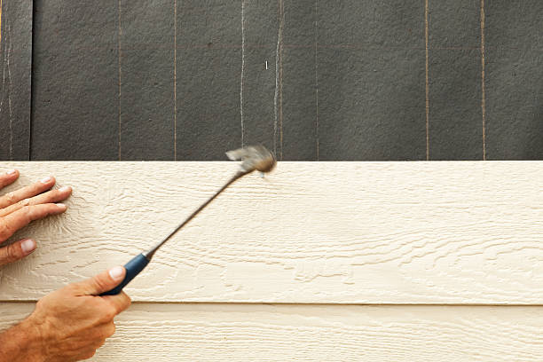 Best Steel Siding Installation  in Gluckstadt, MS